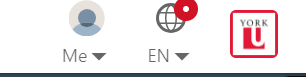 LinkedIn Learning York University Icon
