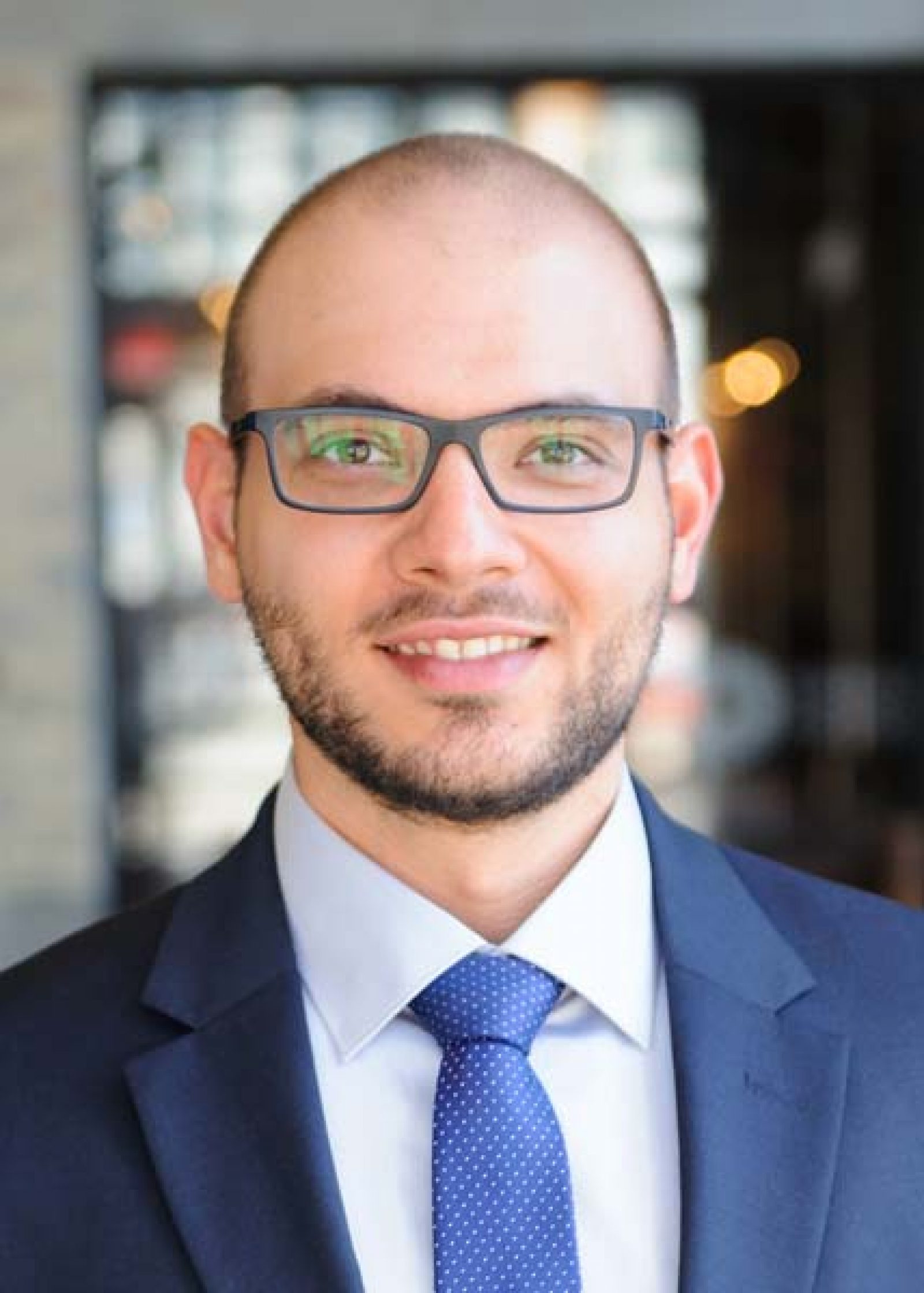Alexandru Gogan Blockchain Advisory Council