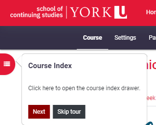 User tour pop-up window showing the Course index 